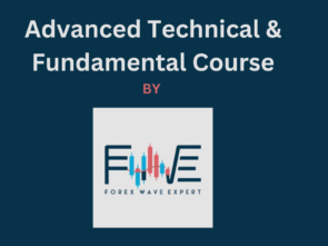 FWE Course