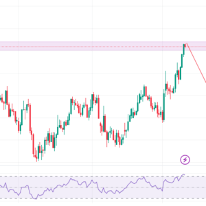Stop-Loss Hunting