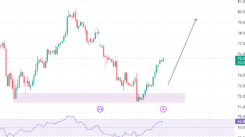 Oil Price Rise
