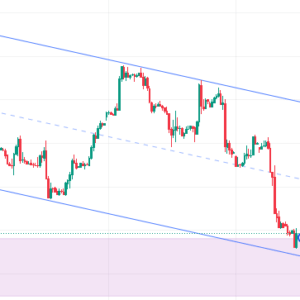 Crude Oil