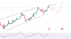 Forex market Update