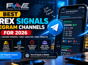 Best Forex Signals Telegram Channels 2026